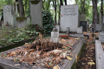 Hana Krampolová