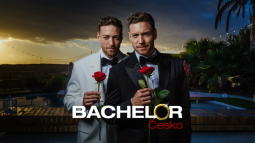 Bachelor