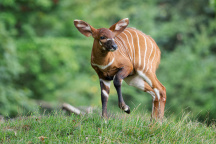 Zoo Praha