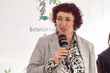 Simona Babčáková