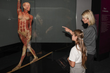 Body Worlds