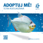 Zoo Praha, adopce