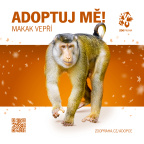Zoo Praha, adopce