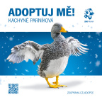 Zoo Praha, adopce