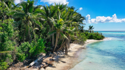 Survivor, Ondřej Novotný