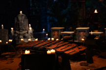 Survivor, Ondřej Novotný