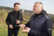 Hudební divadlo Karlín