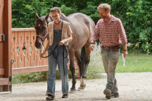 Matěj Hádek, O koních a lidech