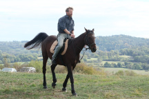 Matěj Hádek, O lidech a koních