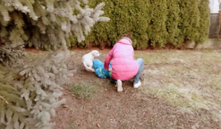 Ornella Koktová, Štiky