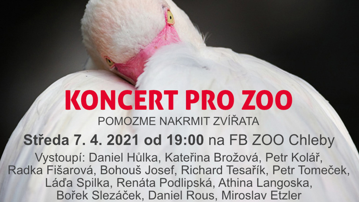 Koncert v zoo pro zoo! Známí umělci podpoří zahradu v Chlebech