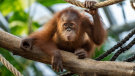 ZOO Praha